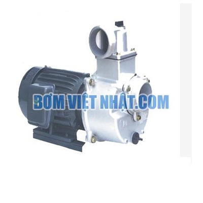 Bơm tự hút đầu inox NTP HSS250-1.75 20