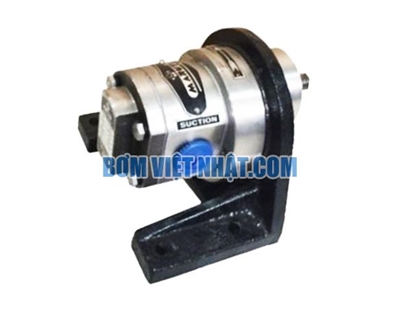 Đầu bơm bánh răng bằng inox 316 Maruti MESX-075 2HP