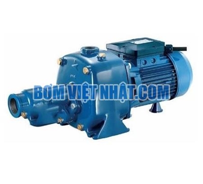 Máy bơm nước đẩy cao Pentax CAB 200