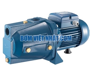 Máy bơm đẩy cao Pentax AP 100