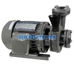 Máy bơm ly tâm đầu gang EVERGUSH