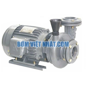 Máy bơm ly tâm đầu gang NTP