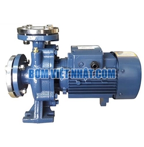 Máy bơm ly tâm đầu gang PURITY