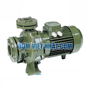 Máy bơm ly tâm đầu gang SAER