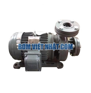Máy bơm ly tâm đầu gang TECO