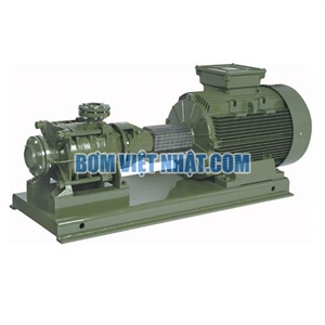 Máy bơm trục ngang đa tầng cánh SAER